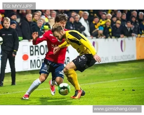 卡马尔与佐加顿斯精彩对决比赛时间及赛程安排详解