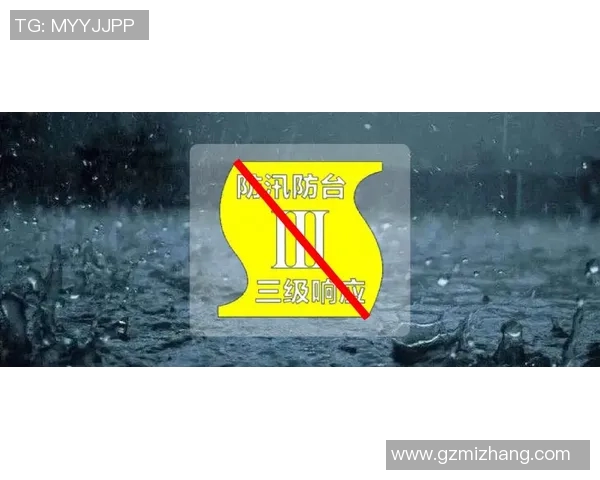 深入分析上海攀岩队盯防策略与战术运用的专业解读 深入分析上海攀岩队盯防策略与战术运用的专业解读