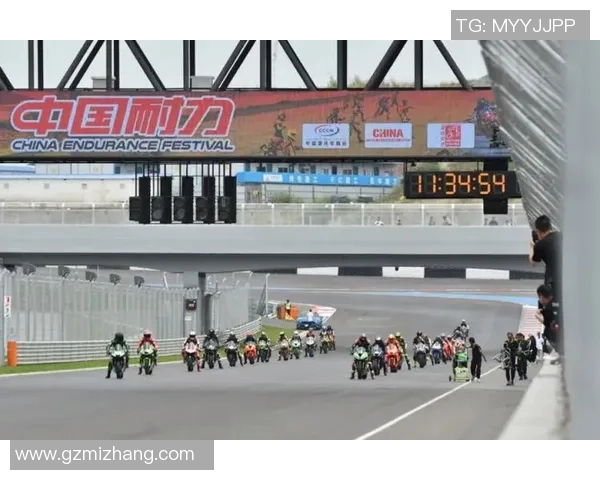 成都乒乓球队耐力提升之路引发热议与关注