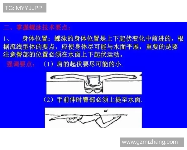 蝶泳动作解析与技巧提升方法：从基础到高级训练全攻略