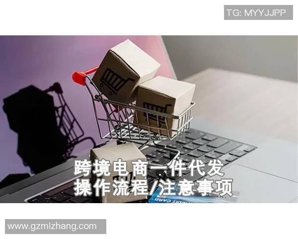 无货源跨境电商模式解析与实战技巧分享如何轻松实现全球盈利