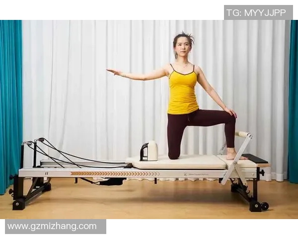 认识各种健身器材从基础到进阶