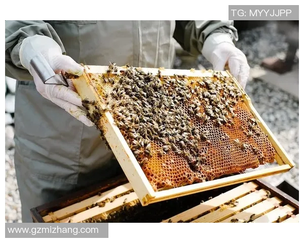 黄蜂生态与行为研究：揭示黄蜂在生态系统中的重要作用及其对环境的影响