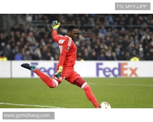 弗赖堡球队在德甲联赛的积分及近期战绩