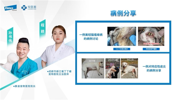 金年会金字招牌在线入口礼蓝动保×宠医客专家座谈会：解码宠物皮肤安康办理新范式(图4)