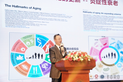 金年会金字招牌信誉至上登录网站《中国身材皮肤照顾护士(2024)》在北京公布半亩(图7)
