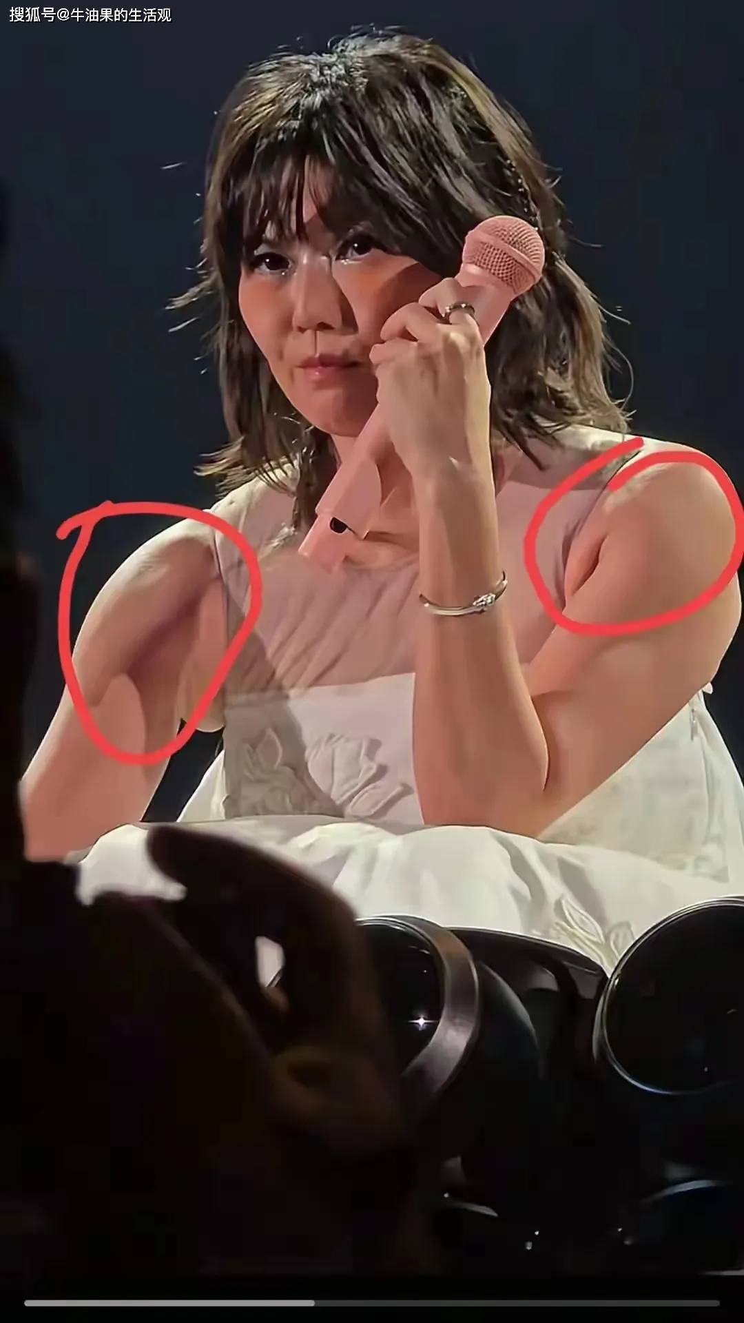 jinnianhui金年会官网孙燕姿演唱会被吐槽衣品差膀子太大发福成大妈脸上皮肤(图2)