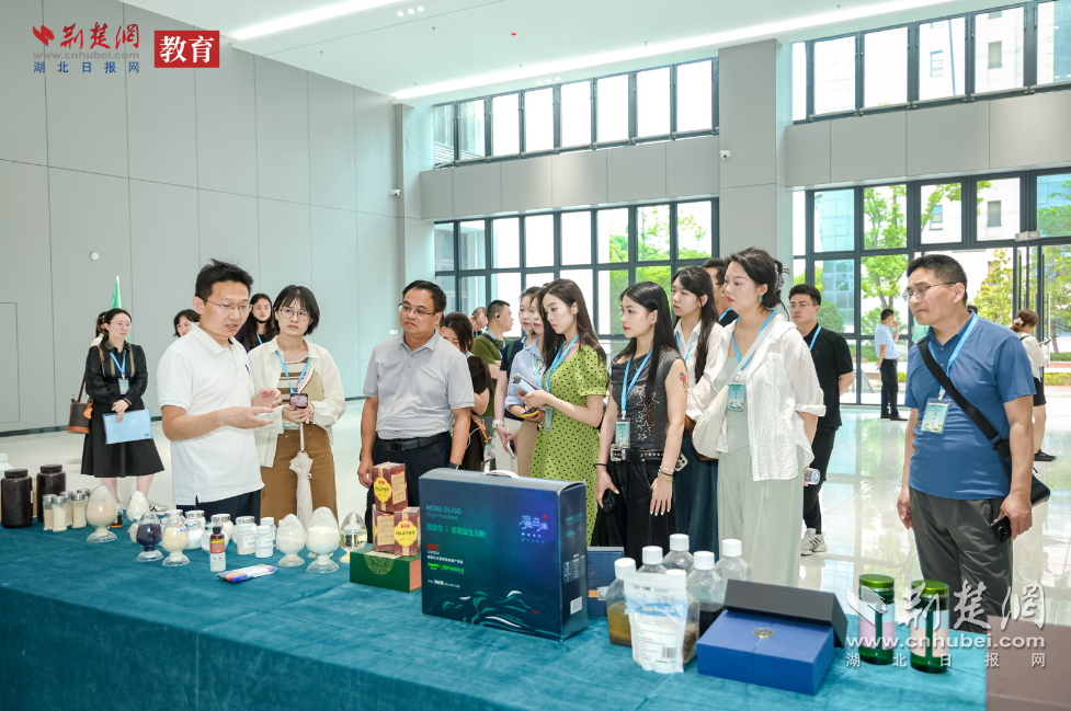 jinnianhui金年会官网湖北大学造“菌”突围 生物制作点亮“中国芯”(图1)