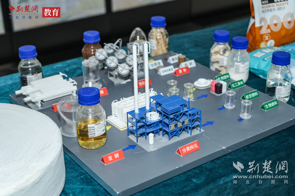 jinnianhui金年会官网湖北大学造“菌”突围 生物制作点亮“中国芯”(图3)